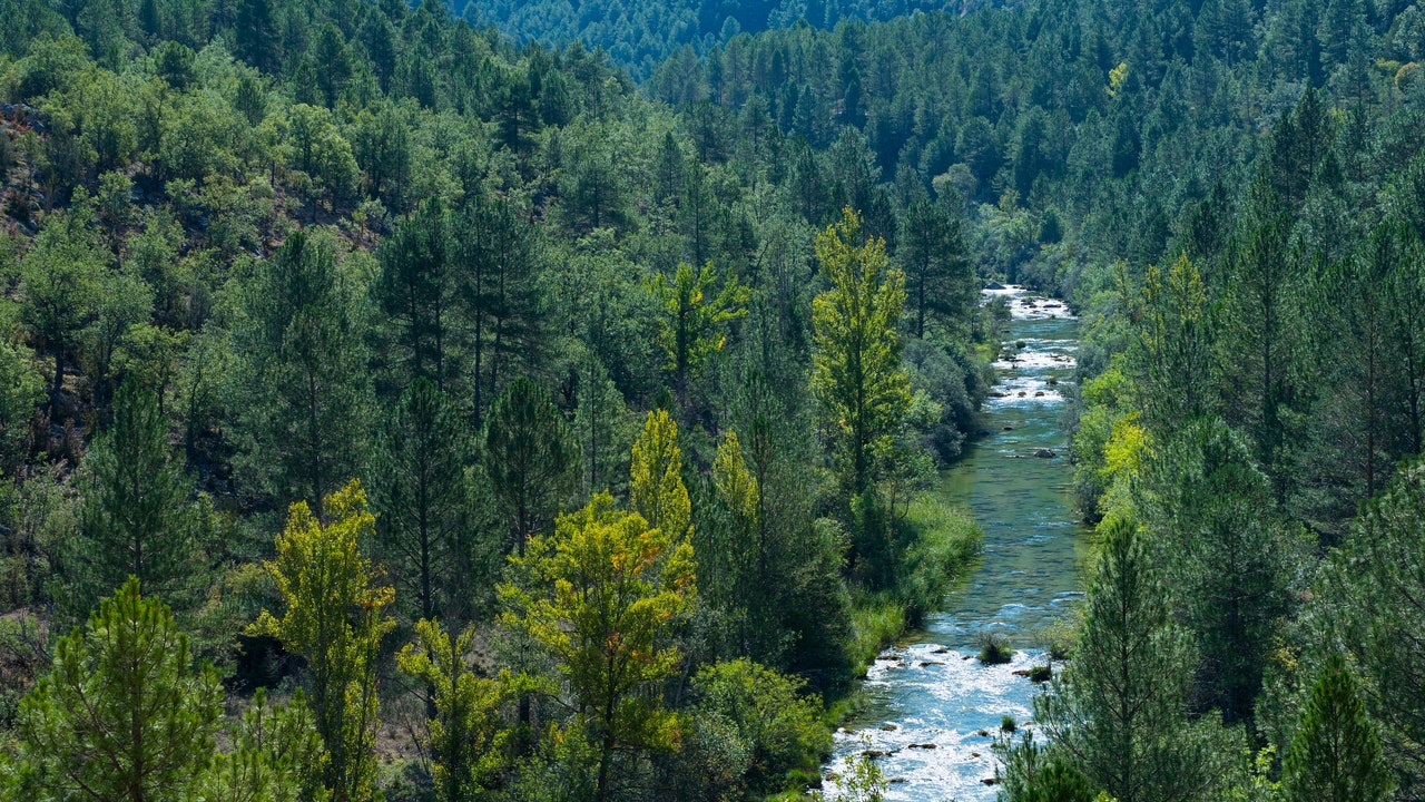 Condé Nast Traveler