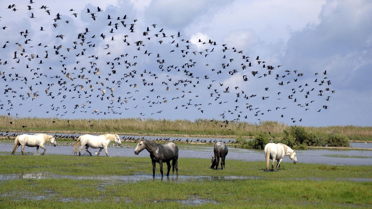 Condé Nast Traveler