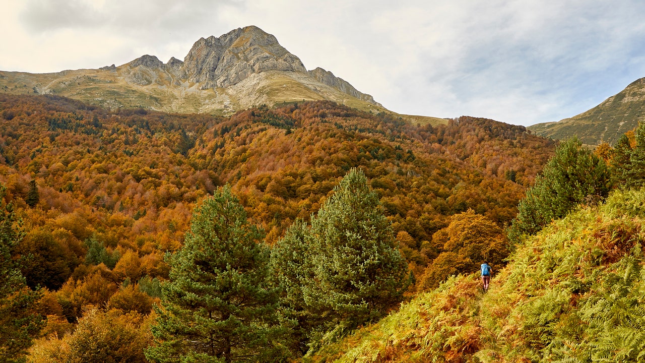 Condé Nast Traveler