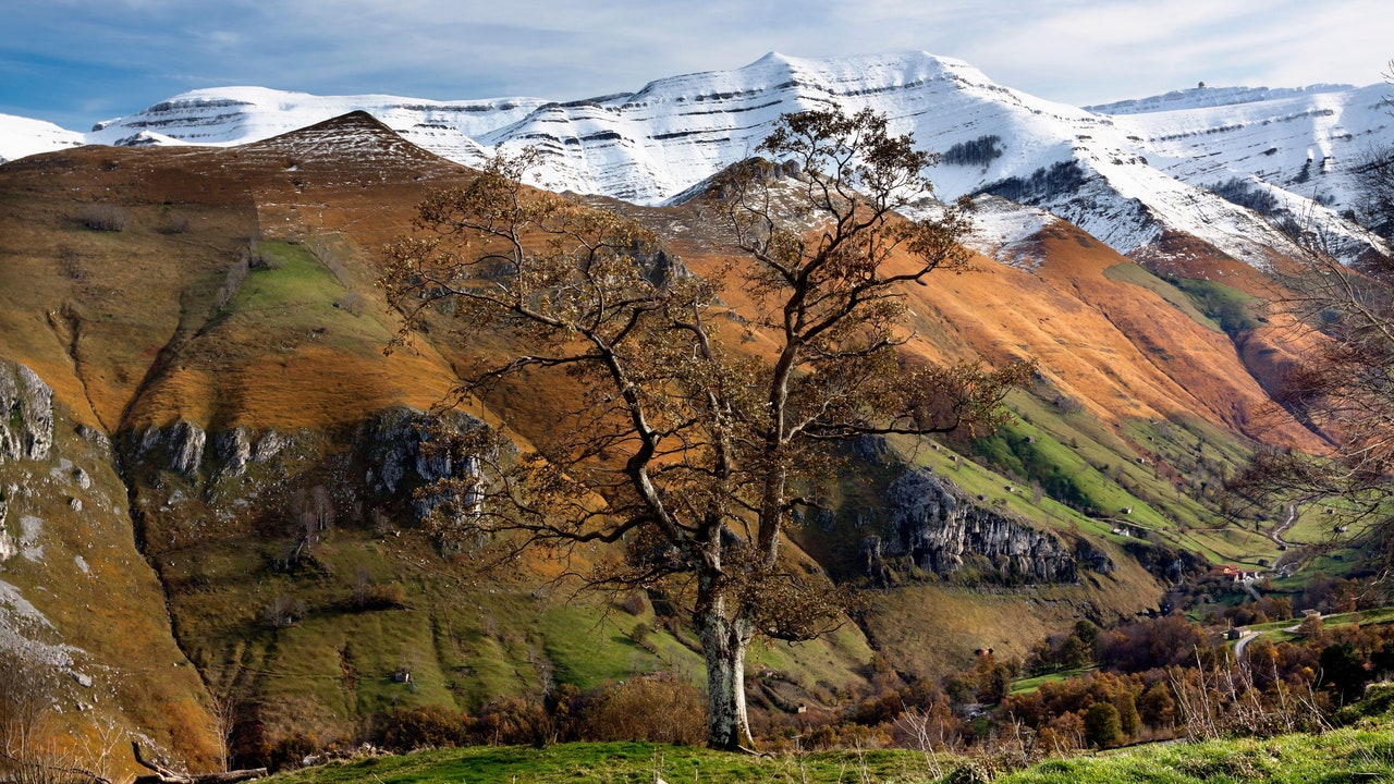 Condé Nast Traveler