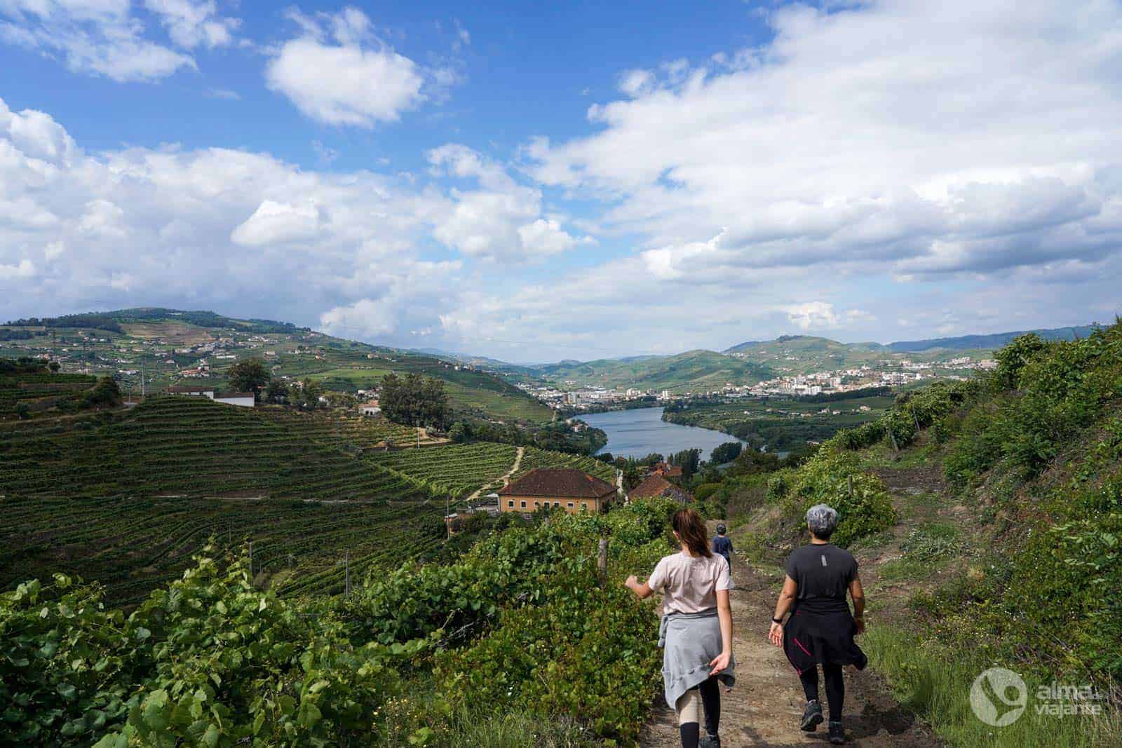 Trilho do Vinho do Porto, Lamego