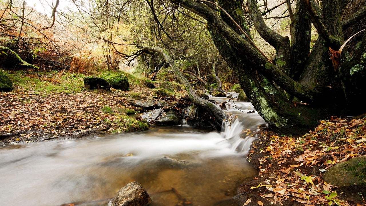 Condé Nast Traveler
