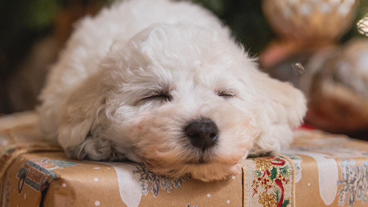 Condé Nast Traveler