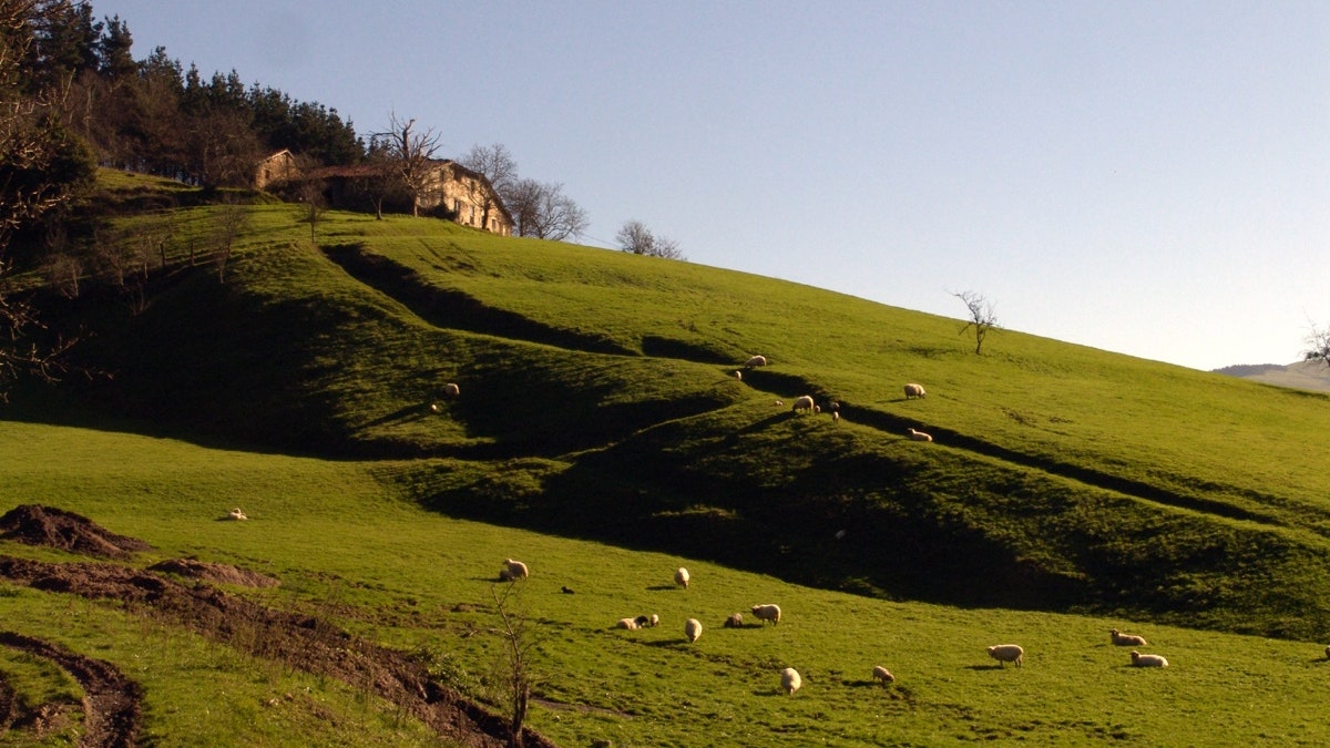 Escapade à Goierri au Pays Basque : un guide pour s'immerger dans son histoire et ses domaines