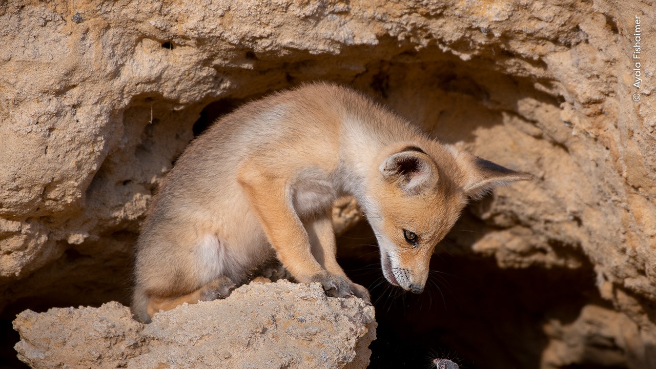 Condé Nast Traveler