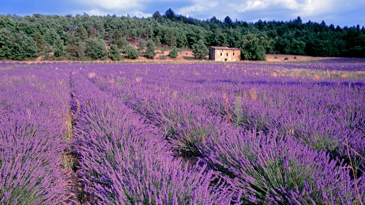 Condé Nast Traveler