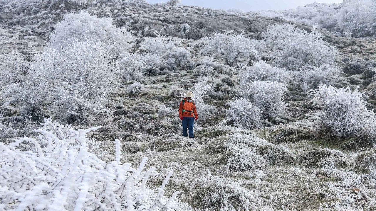 Condé Nast Traveler