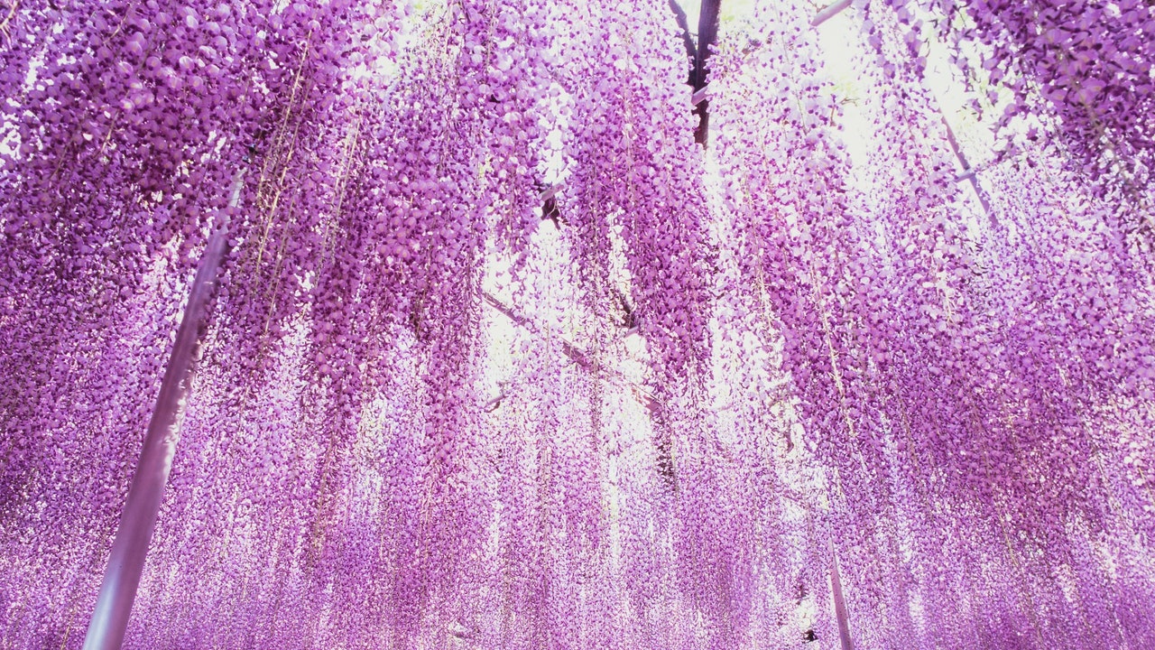 Condé Nast Traveler