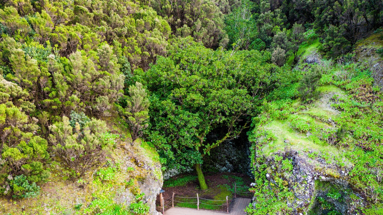 Condé Nast Traveler