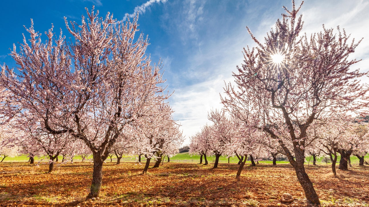 Condé Nast Traveler