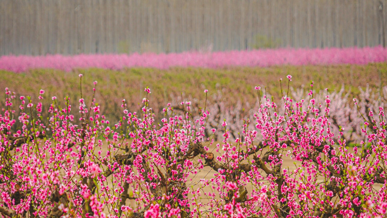 Condé Nast Traveler