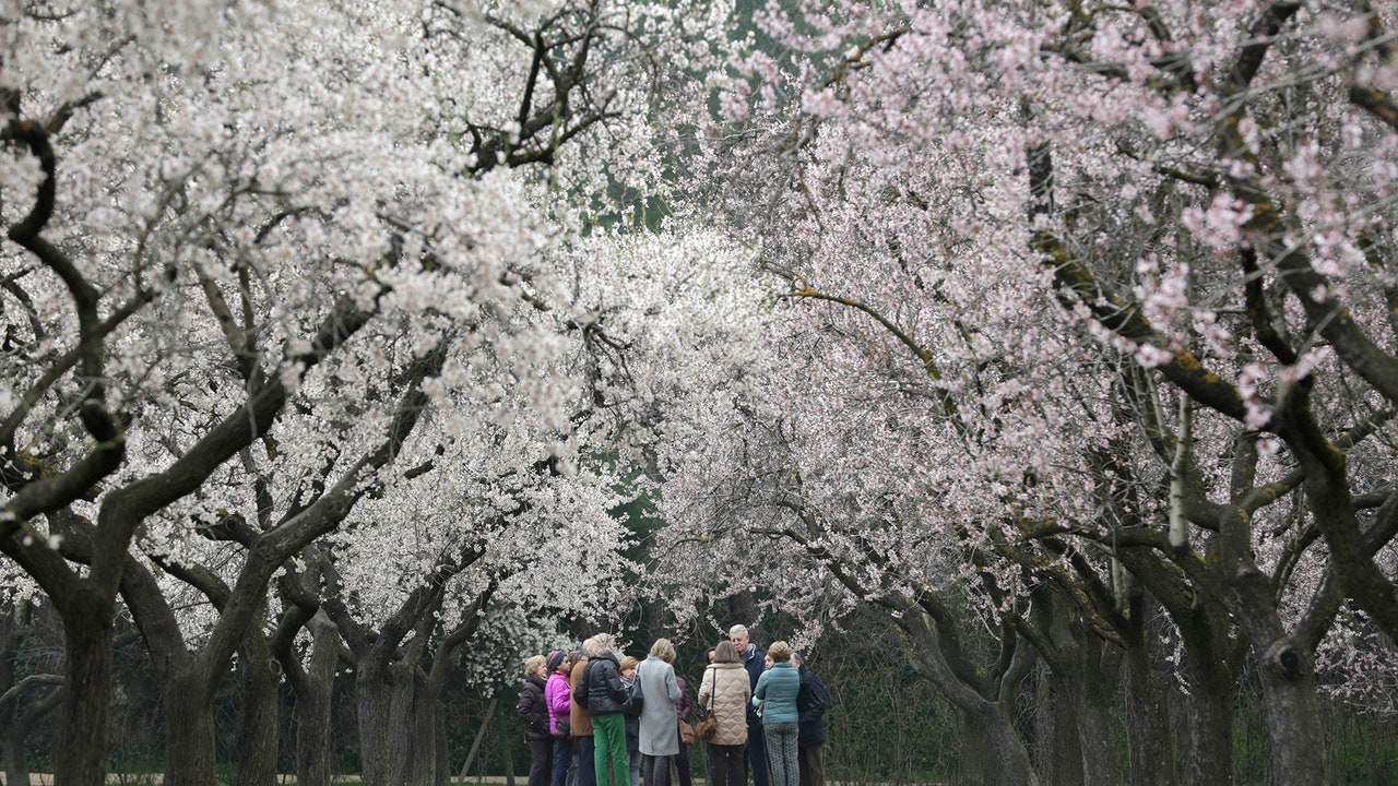 C'est déjà le printemps à Quinta de los Molinos !