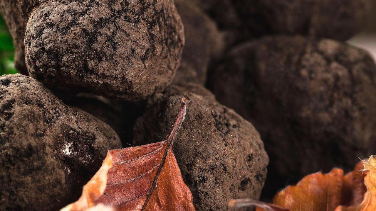 Condé Nast Traveler