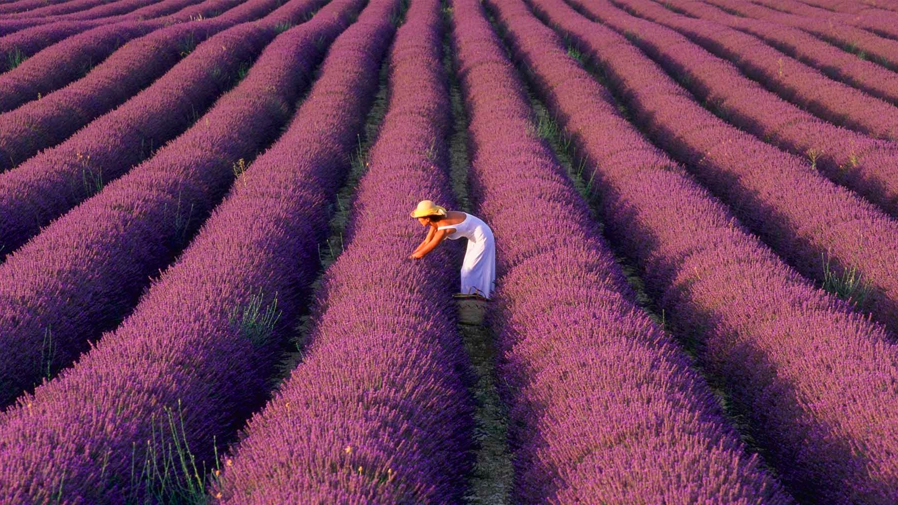 Des endroits en Espagne qui sont une alternative aux meilleurs d'Europe