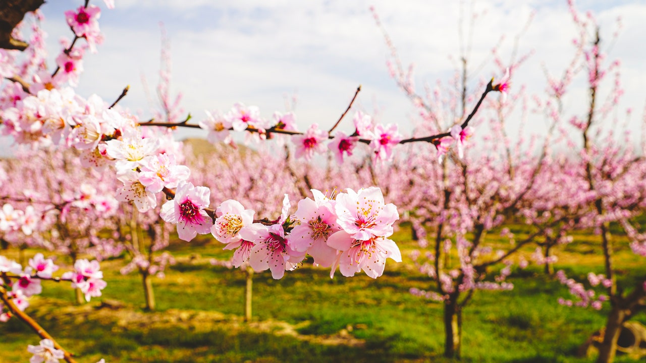 Condé Nast Traveler