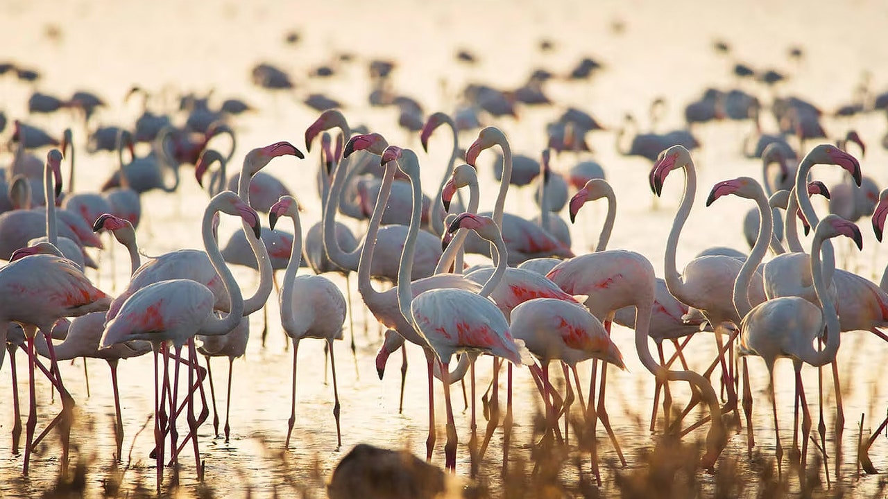 Condé Nast Traveler