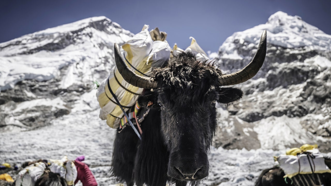 Condé Nast Traveler