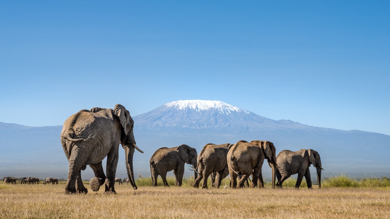 Condé Nast Traveler