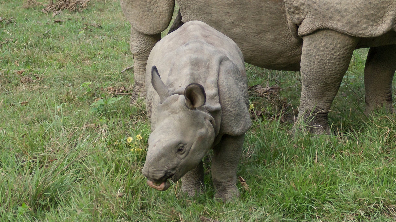 Condé Nast Traveler