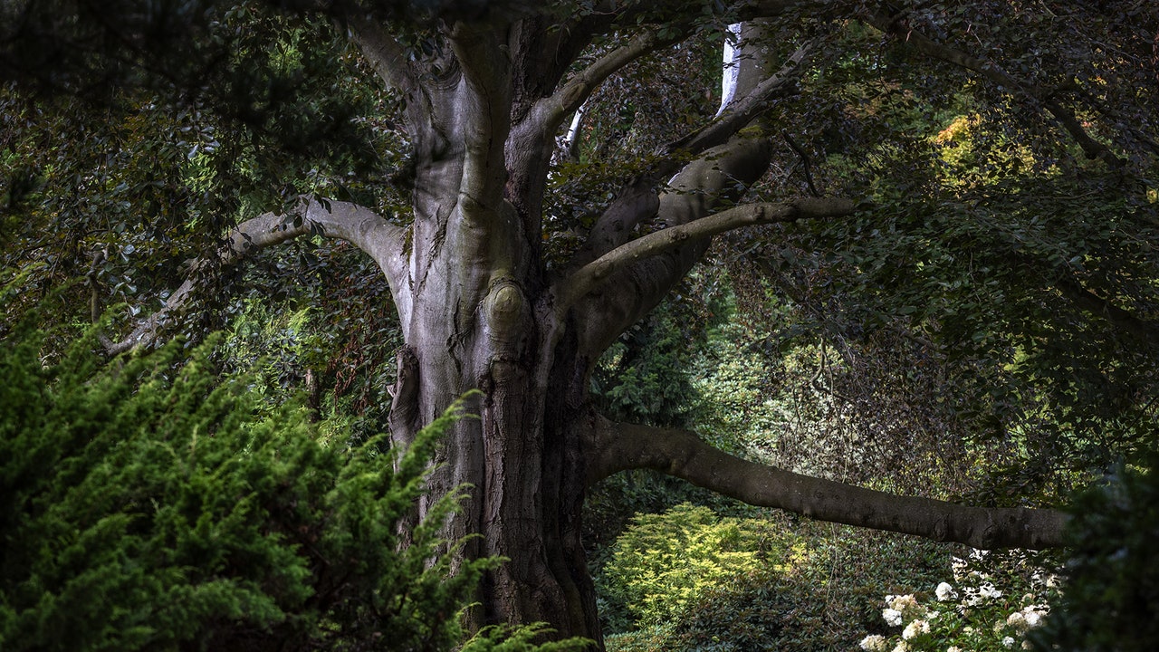 Condé Nast Traveler