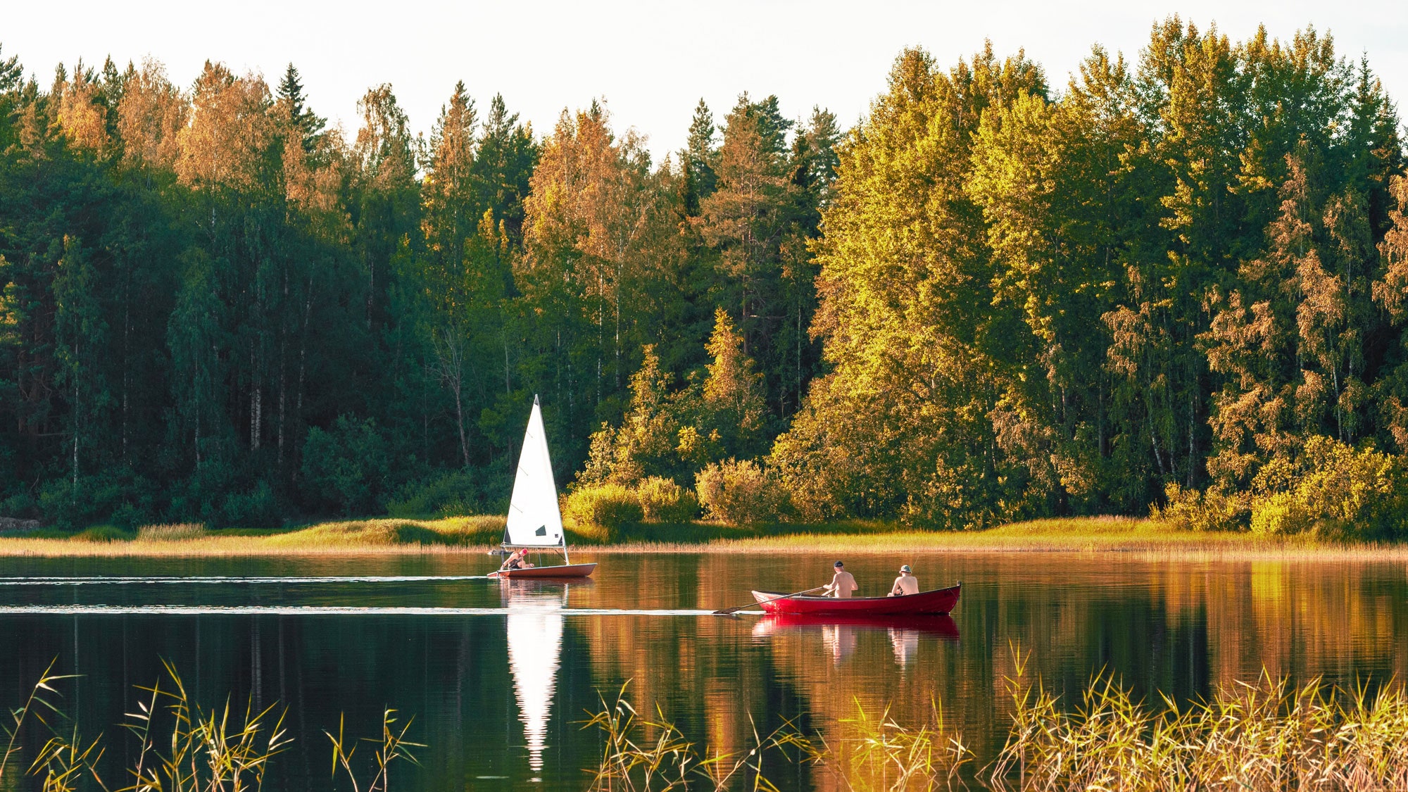 Les dix pays les plus heureux du monde