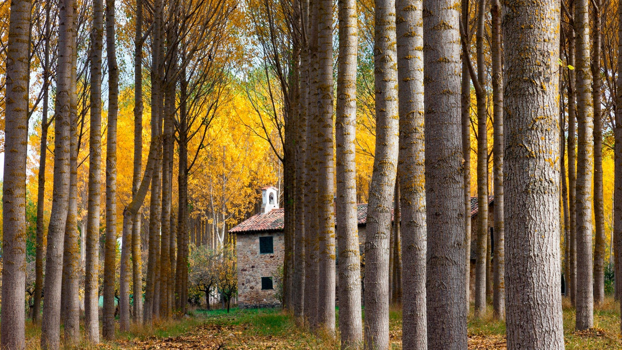 Condé Nast Traveler