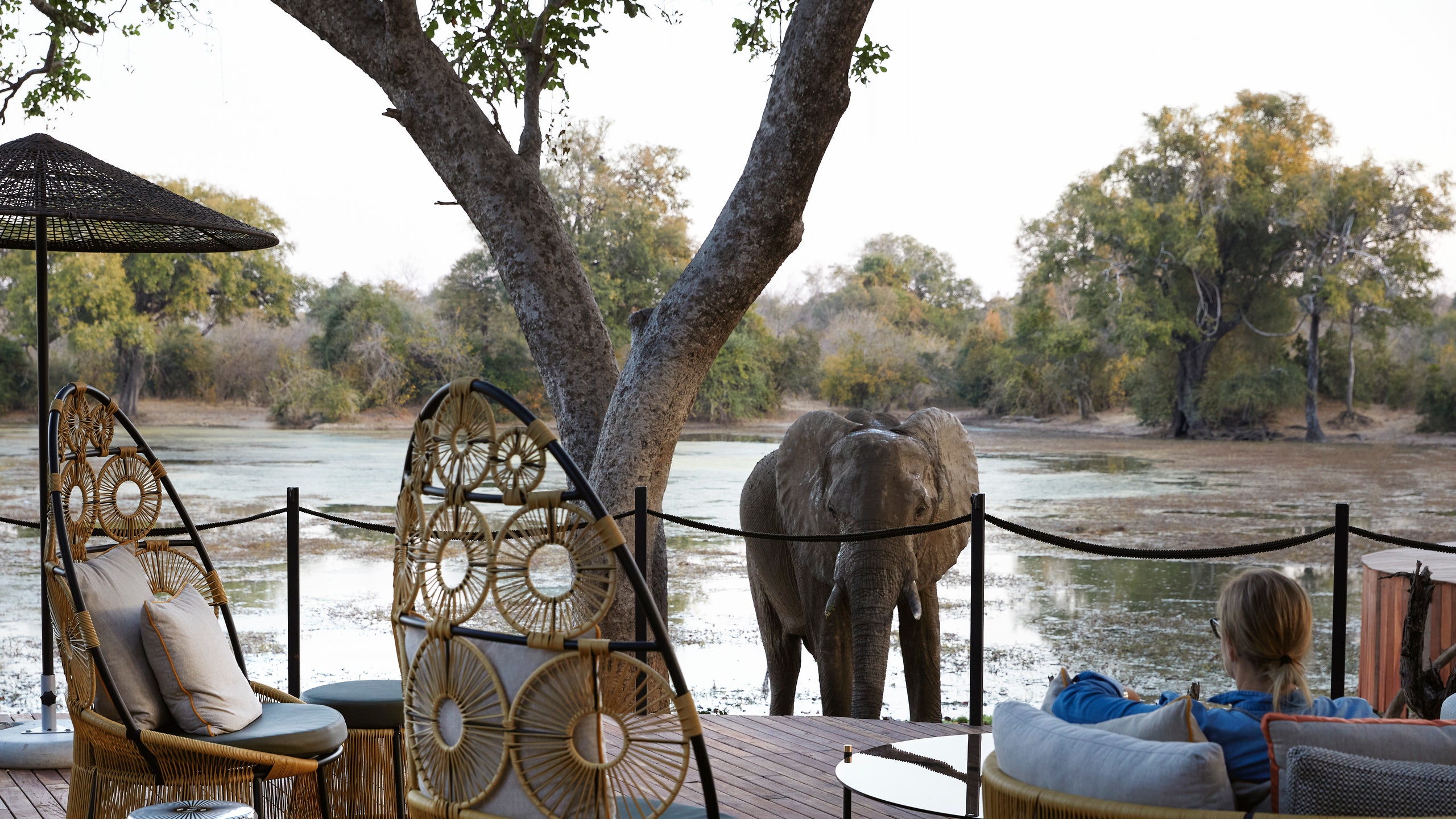 Molori Mashuma, Zimbabwe |  Voyageur