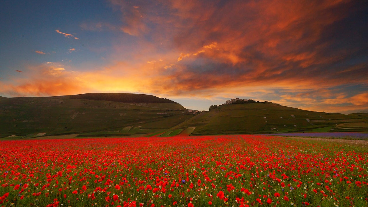 Condé Nast Traveler