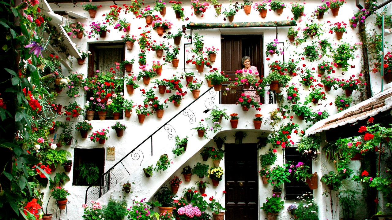 Condé Nast Traveler