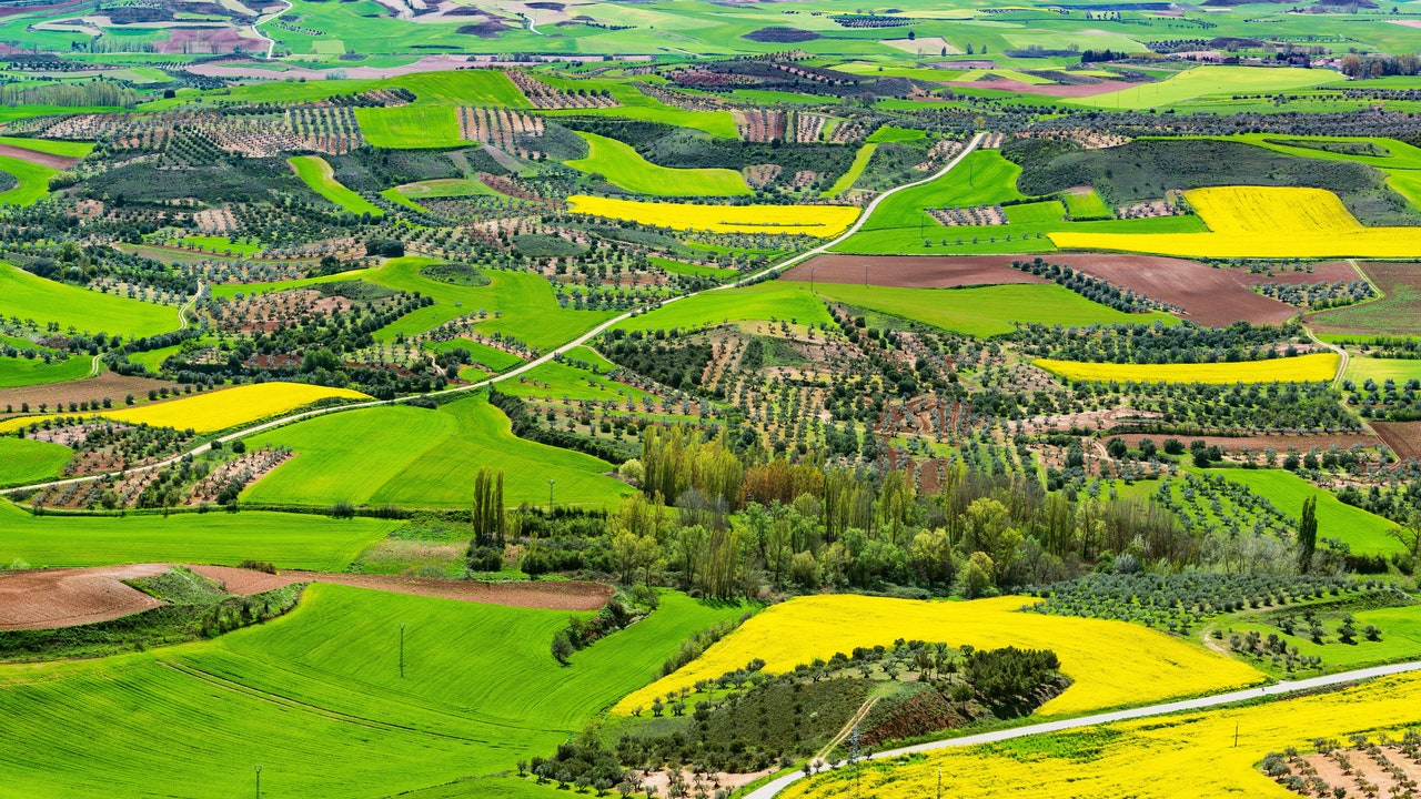 Condé Nast Traveler