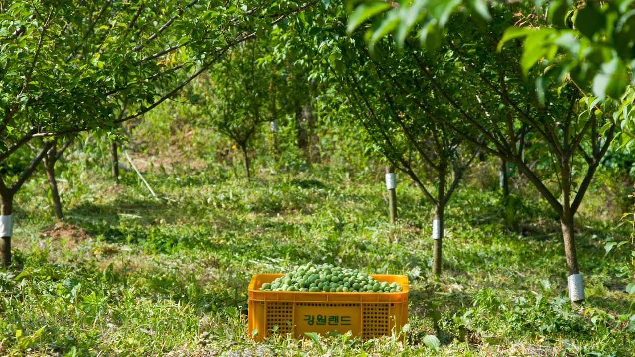 Condé Nast Traveler