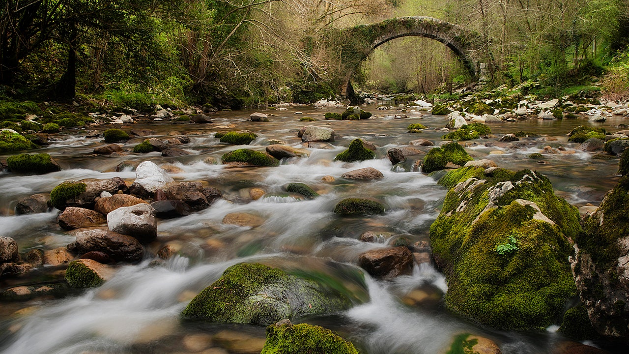 Condé Nast Traveler