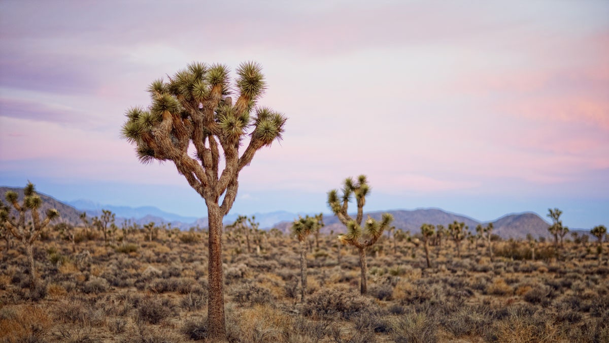 Huit destinations pour revivre l'histoire de la montre la plus voyagée