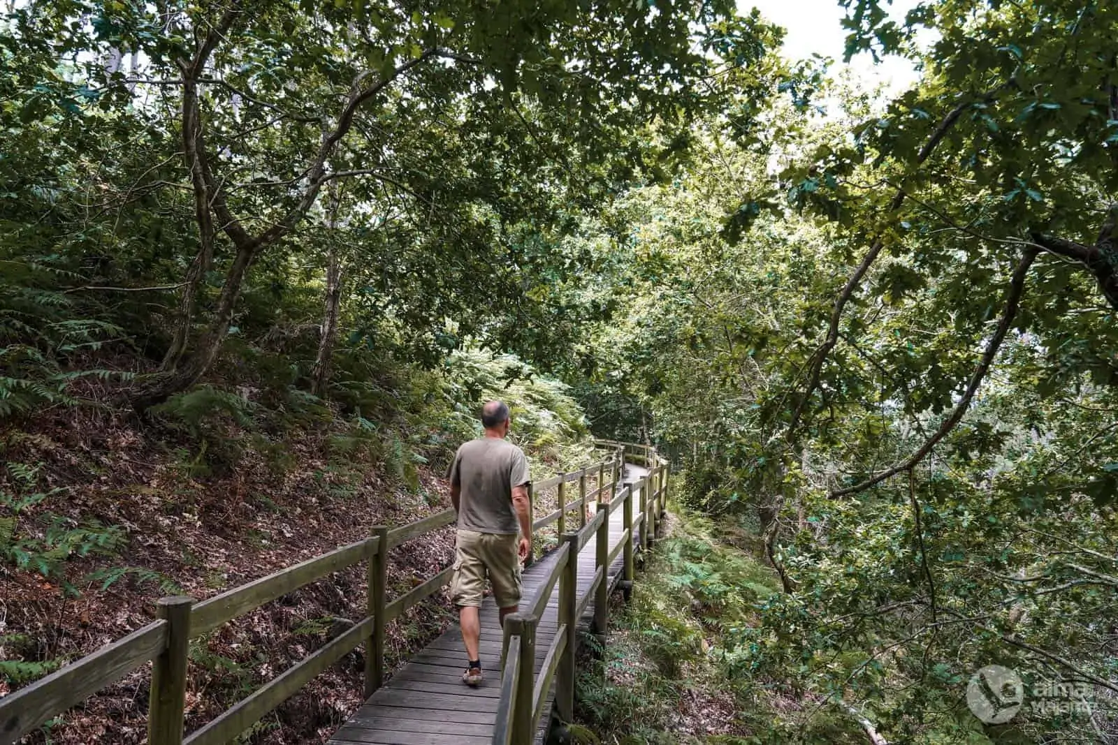 Passadiços de Melgaço, Trilho Percursos Marginais do Rio Minho
