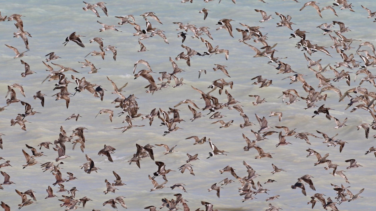 Condé Nast Traveler