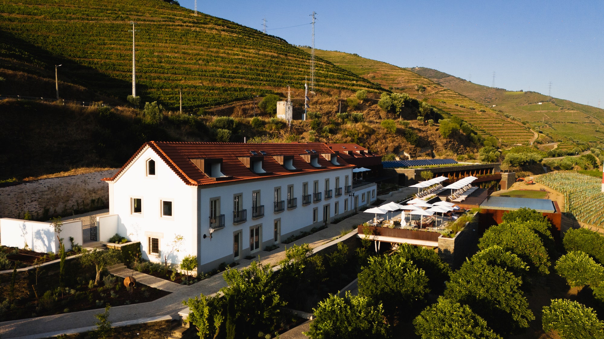Torel Quinta da Vacaria, là où le Douro est plus Douro