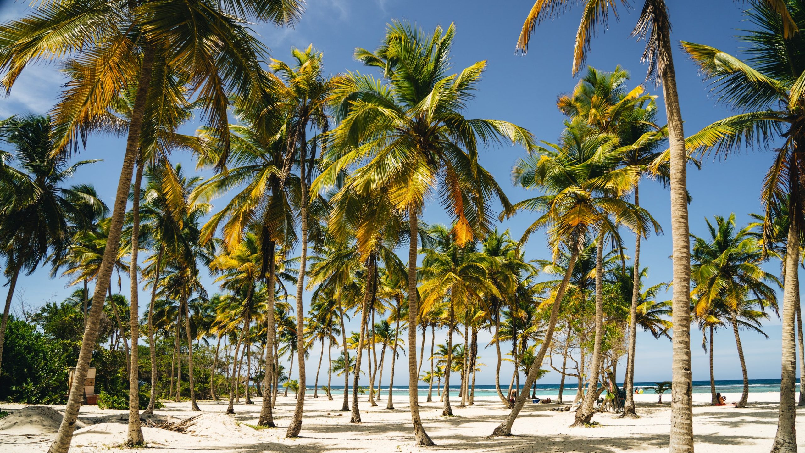 Tous les chemins de 2025 mènent au Venezuela