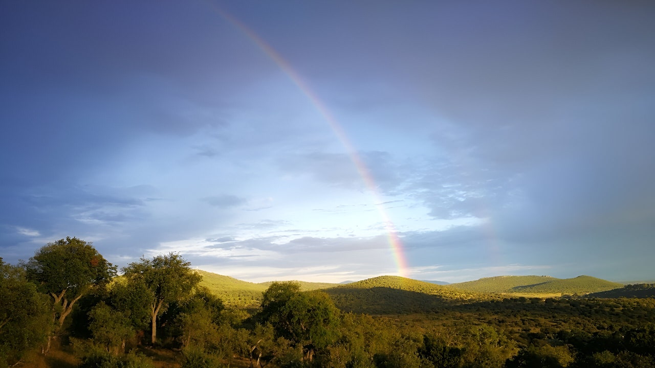 Condé Nast Traveler