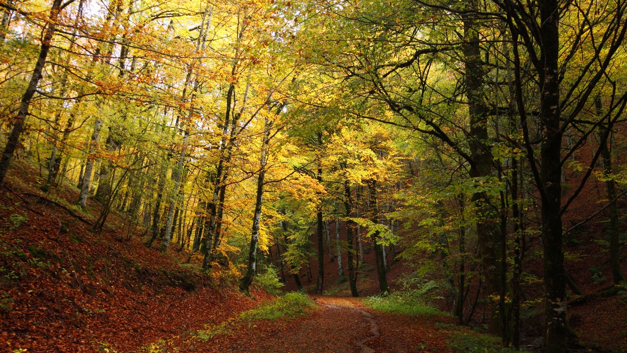 Condé Nast Traveler