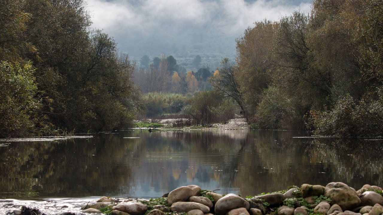 Condé Nast Traveler