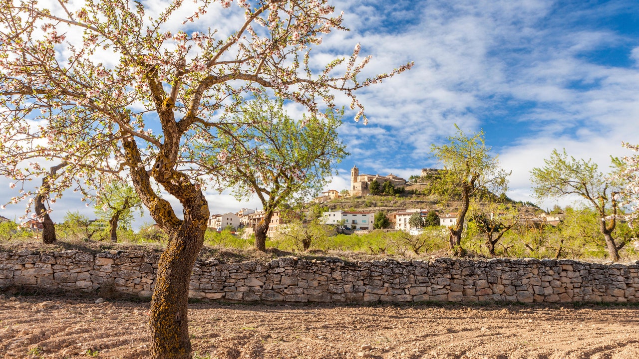 Condé Nast Traveler