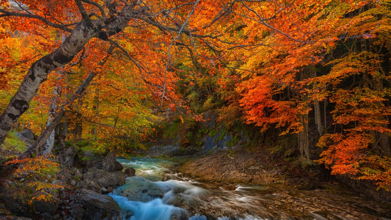 Condé Nast Traveler