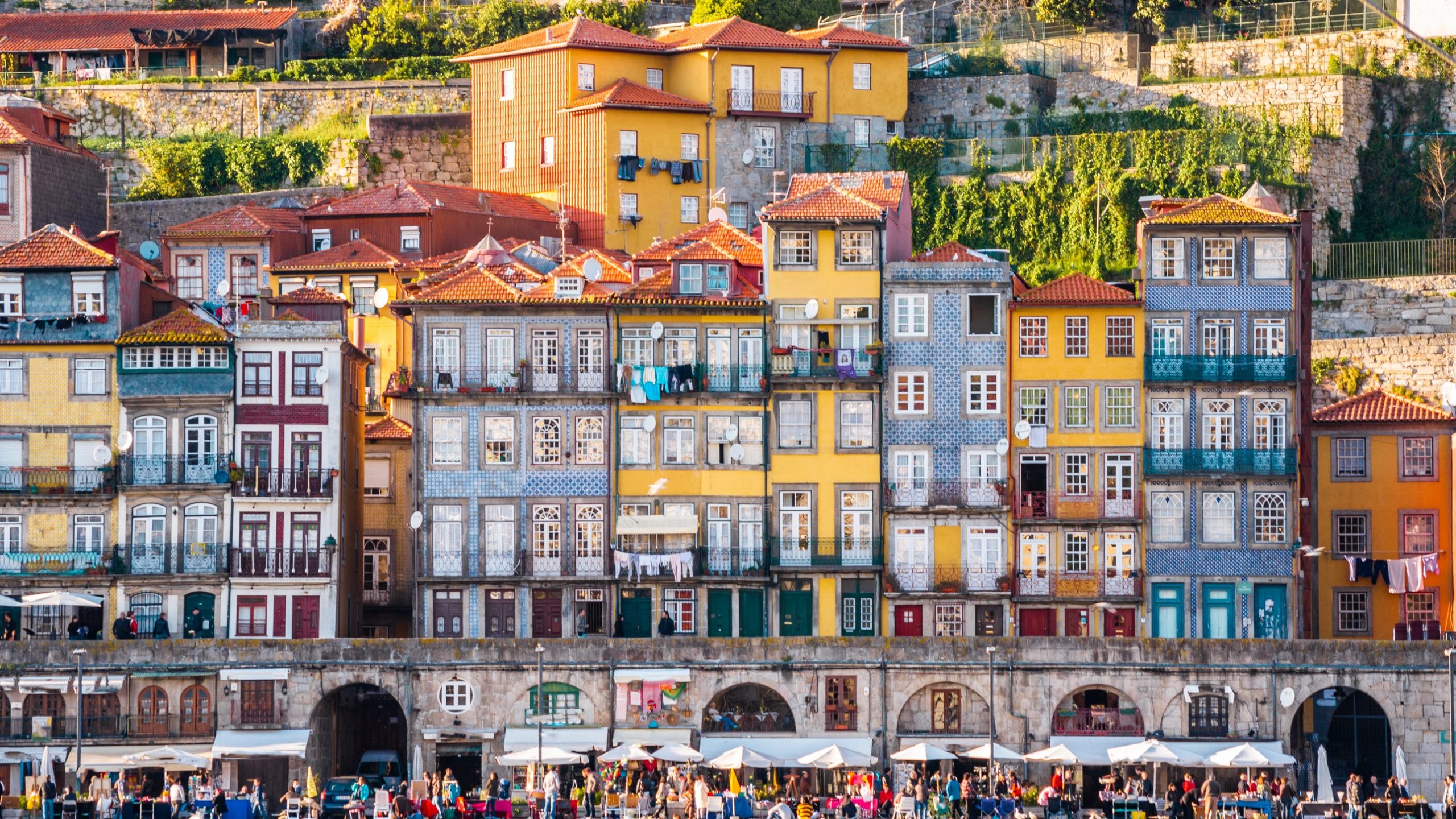 Les résultats des élections aux États-Unis déclenchent la recherche de pays vers lesquels émigrer