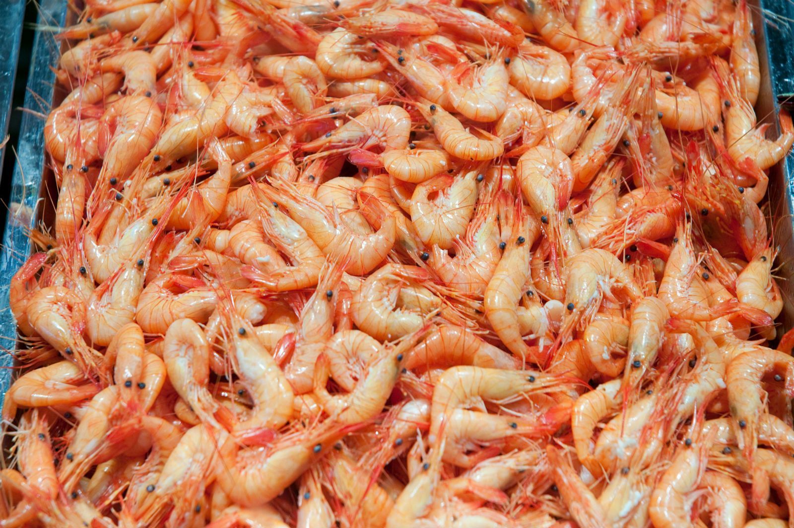 Les crevettes cuites sont le plat mythique que tout le monde attend.