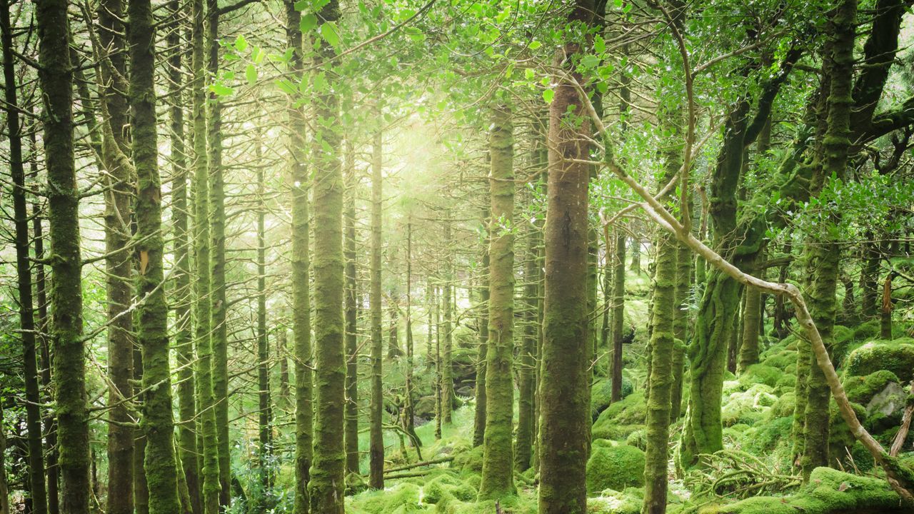 Condé Nast Traveler