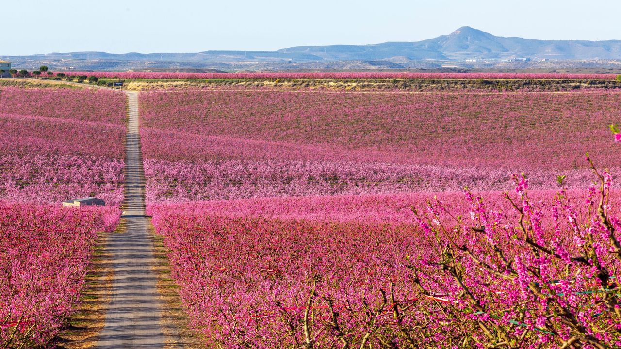 Condé Nast Traveler