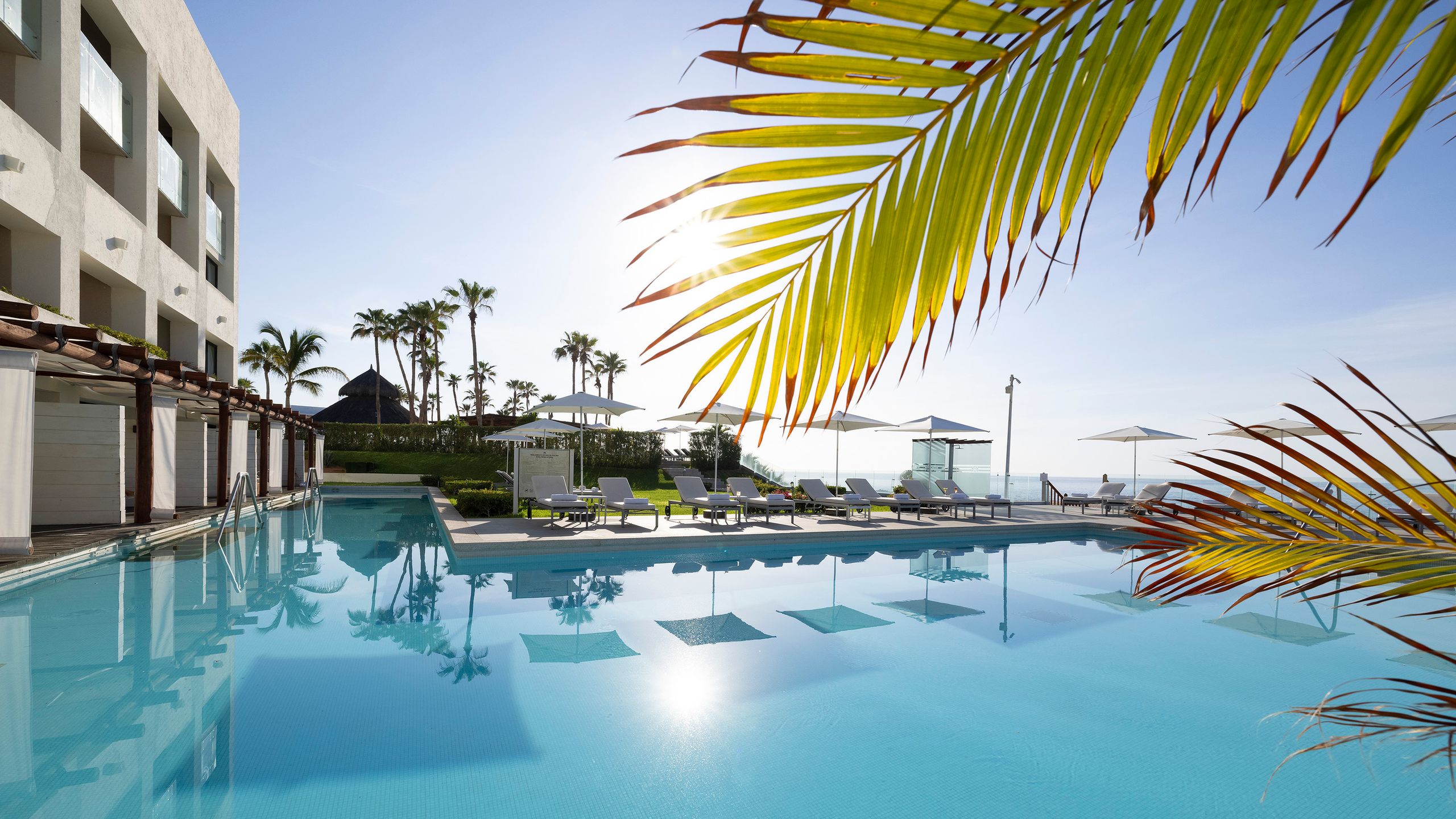 Paradisus los cabos seulement adultes, wildl