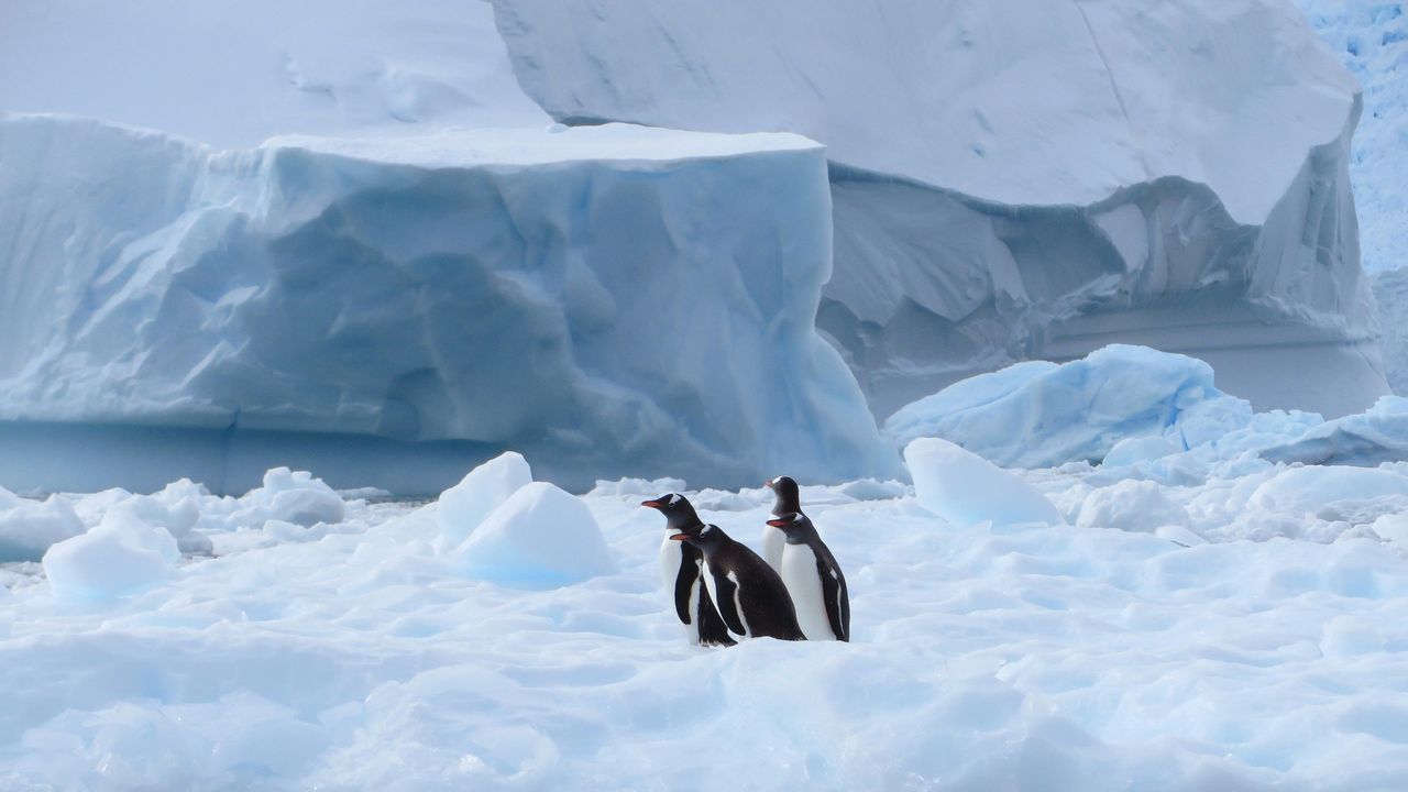 Condé Nast Traveler