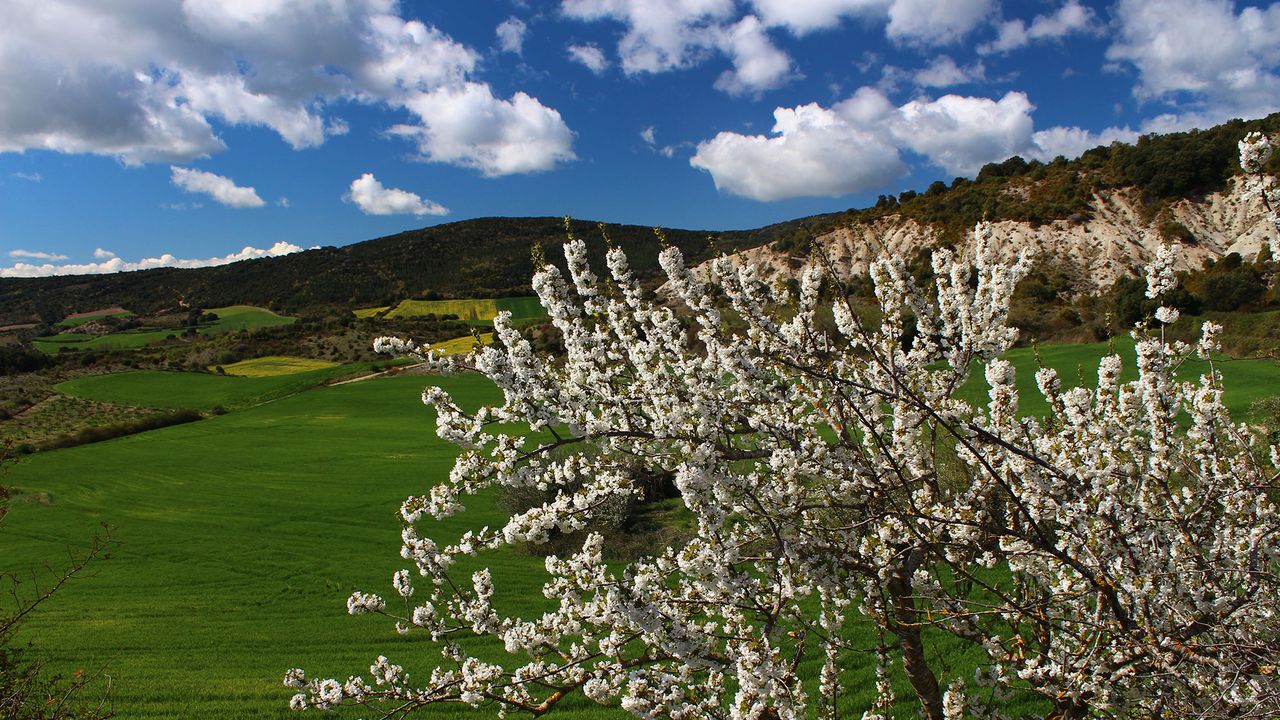 Condé Nast Traveler