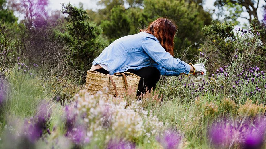 Cosmétiques écologiques espagnols qui nous déplacent sur le terrain